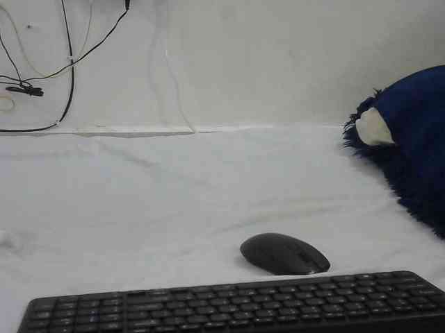 Hairysquiter webcam