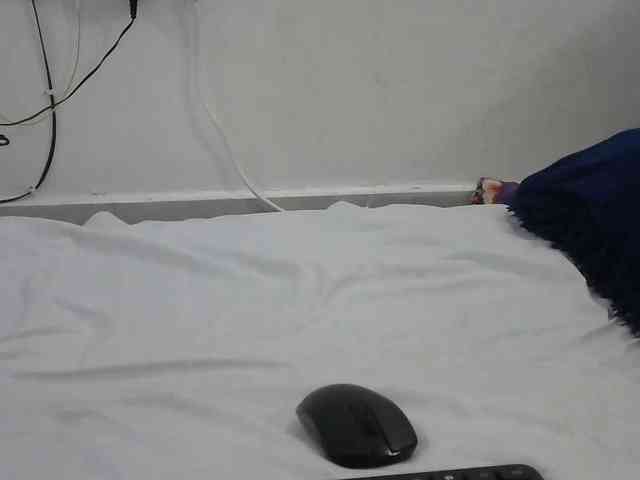 Hairysquiter webcam