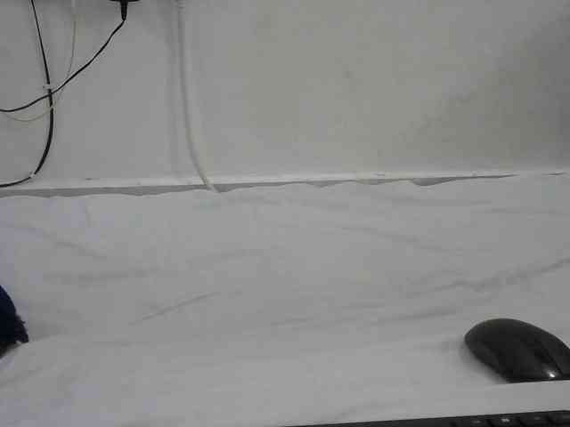 Hairysquiter webcam