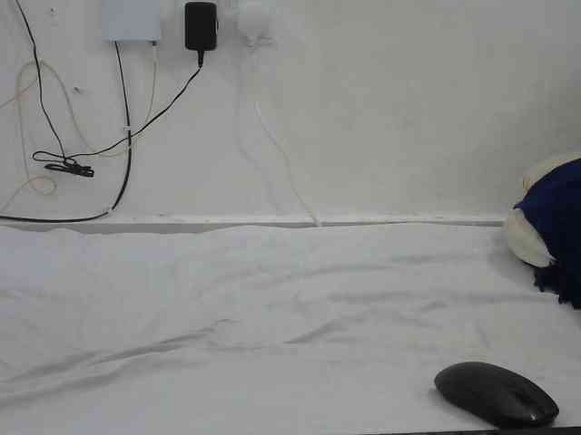 Hairysquiter webcam