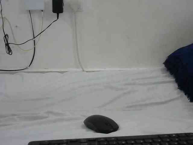 Hairysquiter webcam