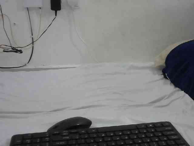 Hairysquiter webcam
