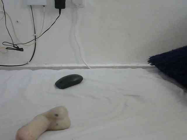 Hairysquiter webcam