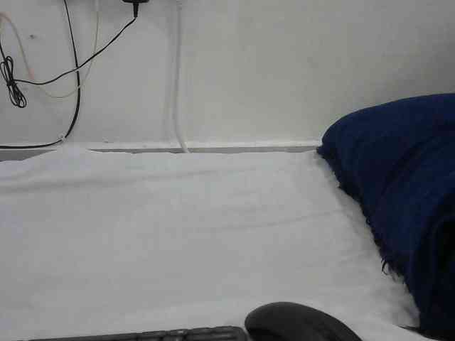 Hairysquiter webcam