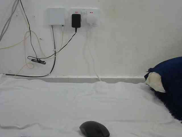 Hairysquiter webcam