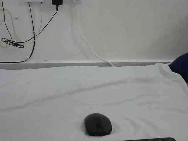 Hairysquiter webcam