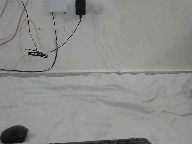 Hairysquiter webcam