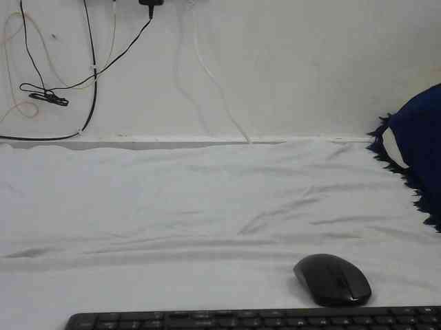 Hairysquiter webcam