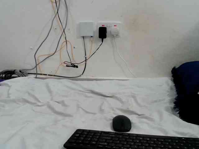 Hairysquiter webcam