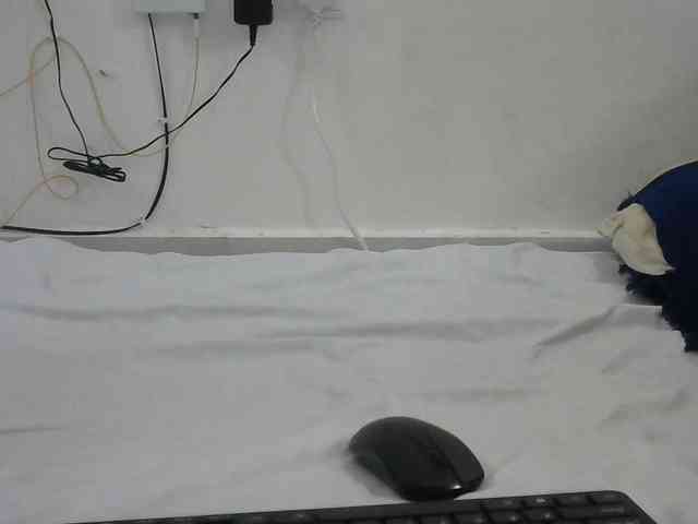 Hairysquiter webcam