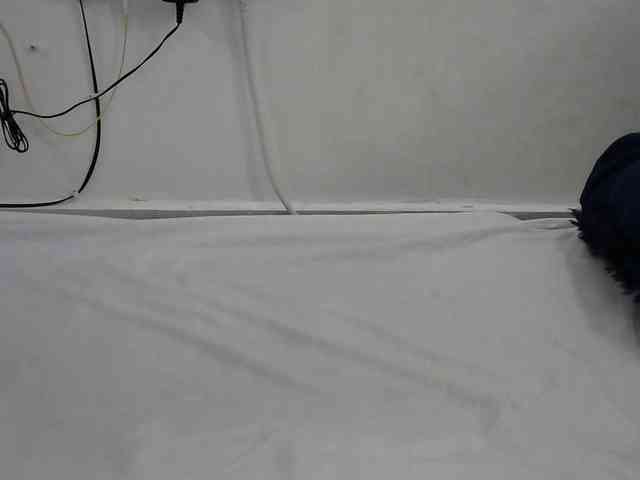 Hairysquiter webcam