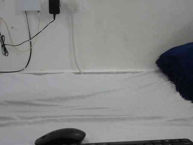 Hairysquiter webcam