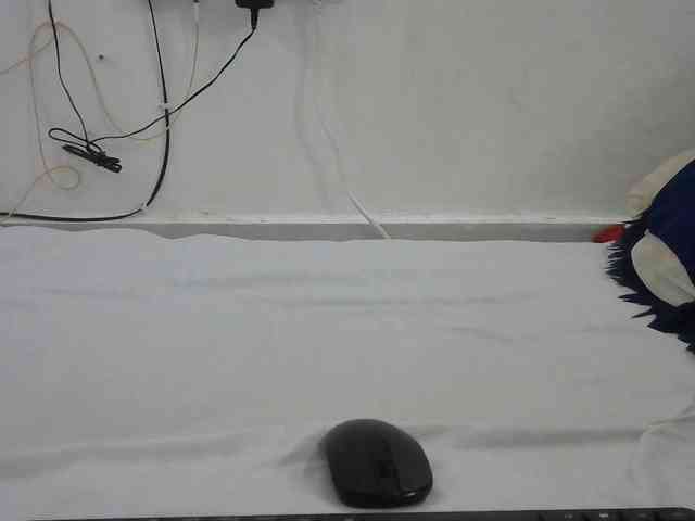 Hairysquiter webcam