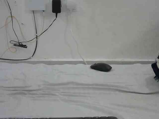 Hairysquiter webcam