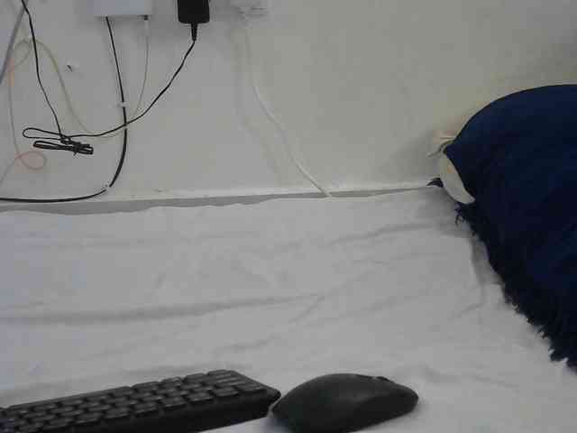 Hairysquiter webcam