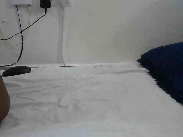 Hairysquiter webcam