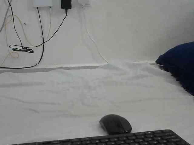 Hairysquiter webcam