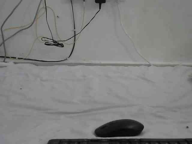 Hairysquiter webcam