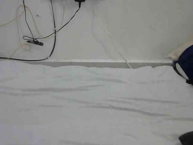 Hairysquiter webcam
