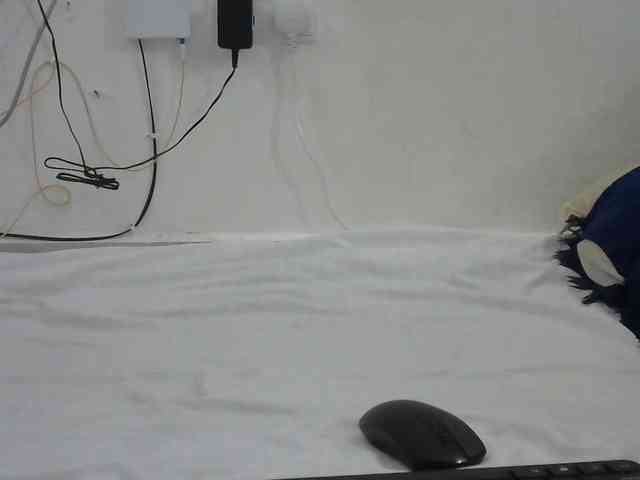 Hairysquiter webcam