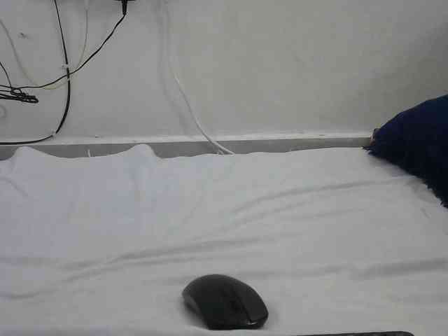 Hairysquiter webcam