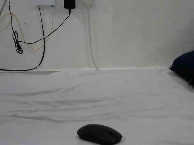 Hairysquiter webcam