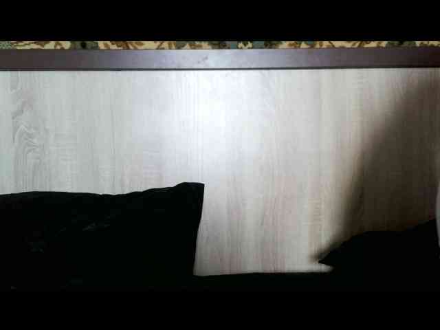 Ana-Lisa webcam