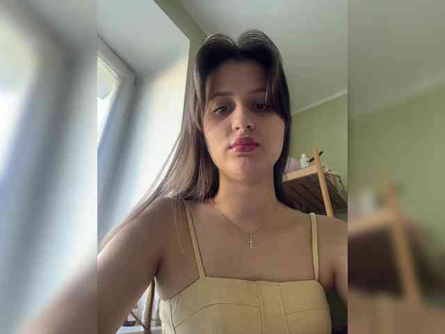 Llevie webcam