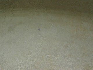 sexxynila's Live Webcam