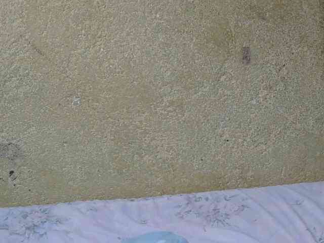 sexxynila Live Webcam on BongaCams