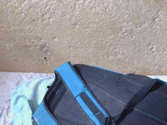 sexxynila Live Webcam on BongaCams