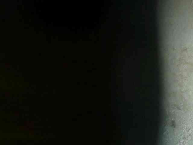 sexxynila webcam