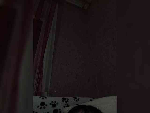 Fander1991-1 Fander1991-1