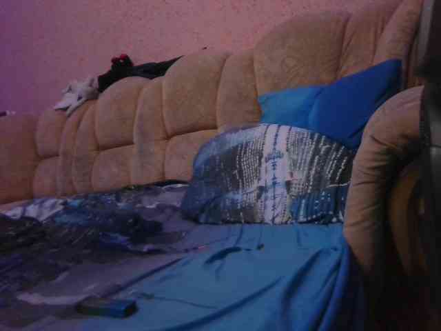 Fander1991-1 webcam