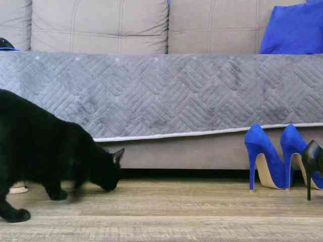 Jennb webcam