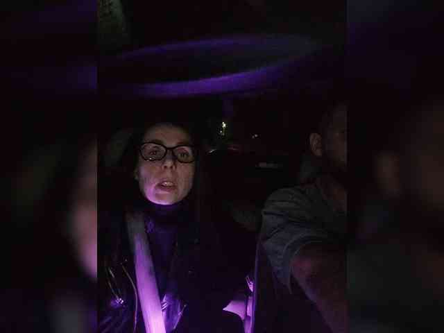 WILD-love-WILD webcam