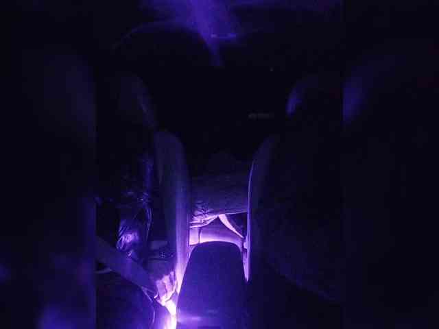 WILD-love-WILD WILD-love-WILD