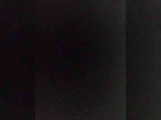 WILD-love-WILD webcam