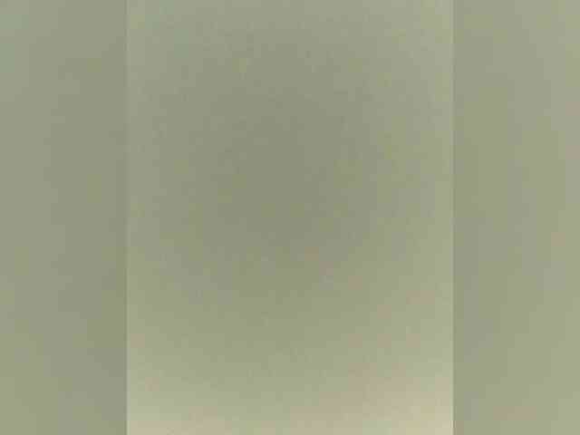 adult cam sex WILD-love-WILD