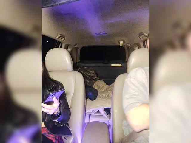 WILD-love-WILD webcam