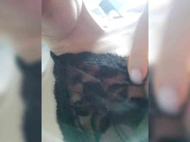 WILD-love-WILD