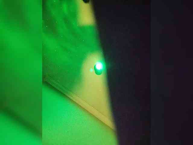 WILD-love-WILD webcam