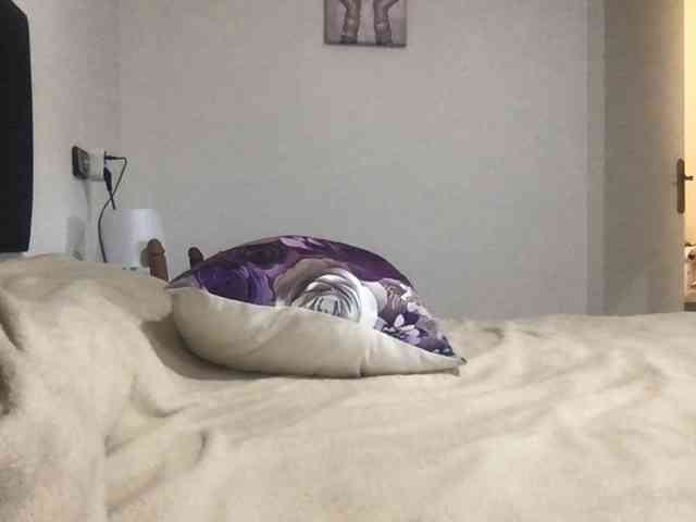 paula19801 paula19801