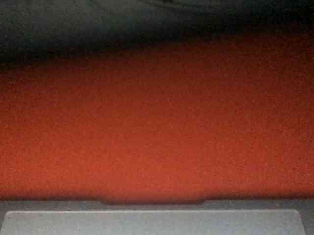 paula19801 webcam