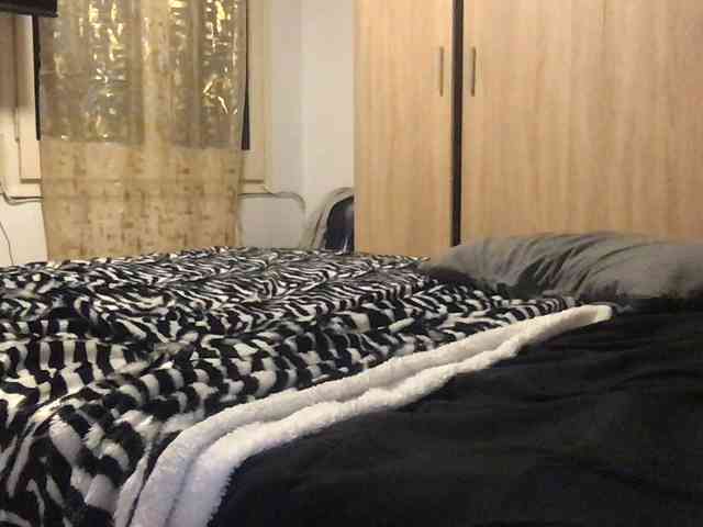 paula19801 paula19801