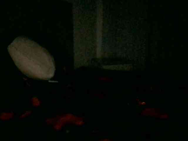 paula19801 webcam