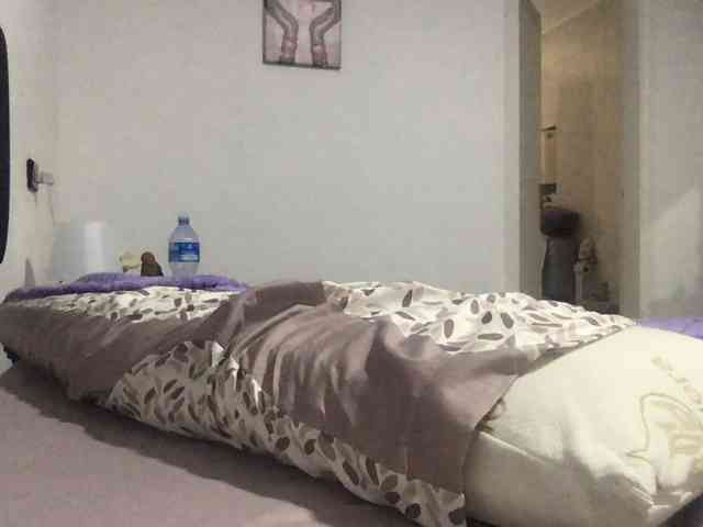 paula19801 paula19801