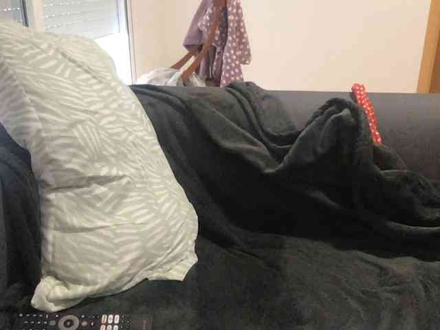 paula19801 paula19801