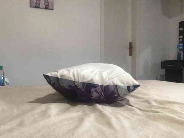 paula19801 paula19801