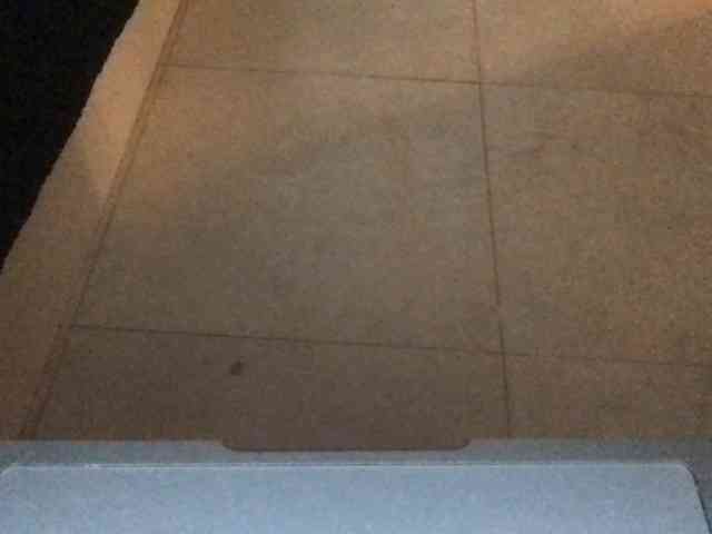 paula19801 webcam